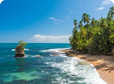 Manzanillo Limon