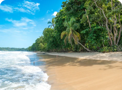 Cahuita National Park