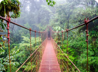 Monteverde Santa Elena