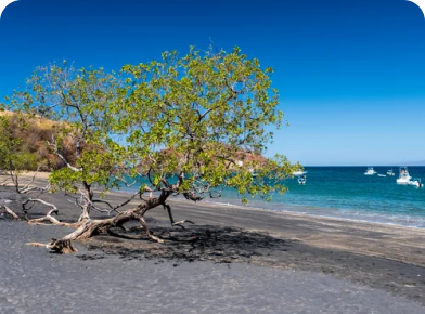 Puerto Viejo de Limon