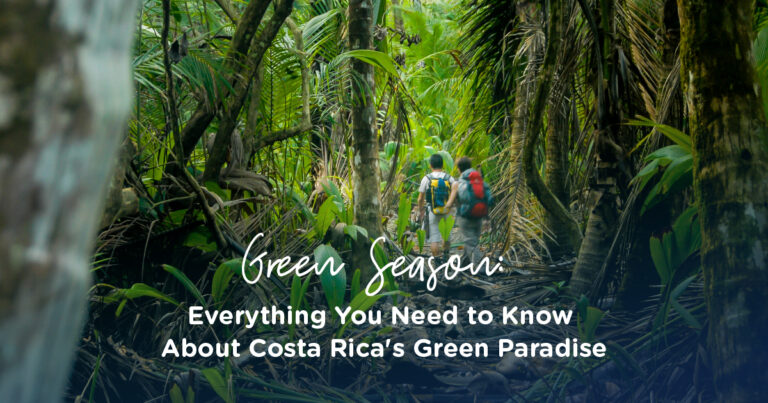 Green Season: Everything You Need to Know About Costa Rica’s Green Paradise