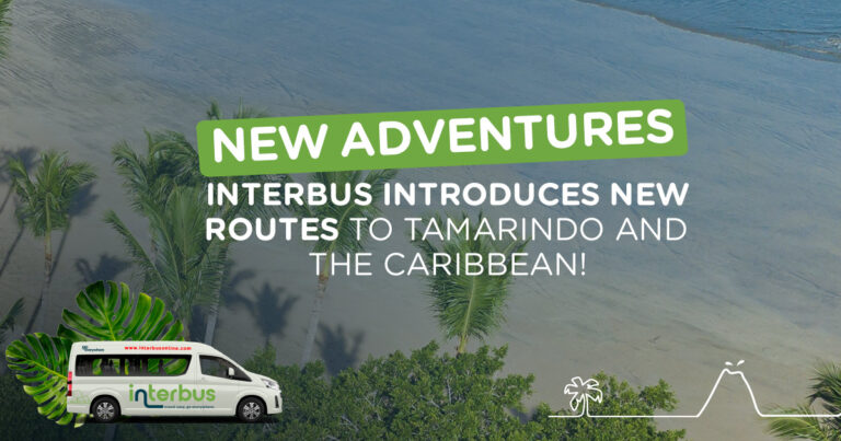 New Adventures Await: Interbus introduces new routes to Tamarindo and the Caribbean!