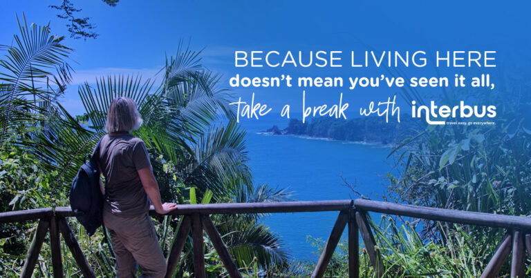 Because living here doesn’t mean you’ve seen it all, take a break with Interbus!