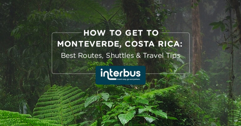 How to Get to Monteverde, Costa Rica: Best Routes, Shuttles & Travel Tips